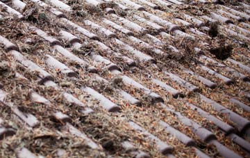 Mappleton roof cleaning companies