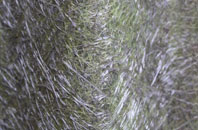 Mappleton fibreglass roof work